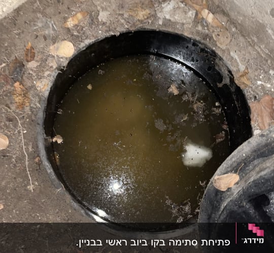 בור ביוב פתוח עם מים עומדים